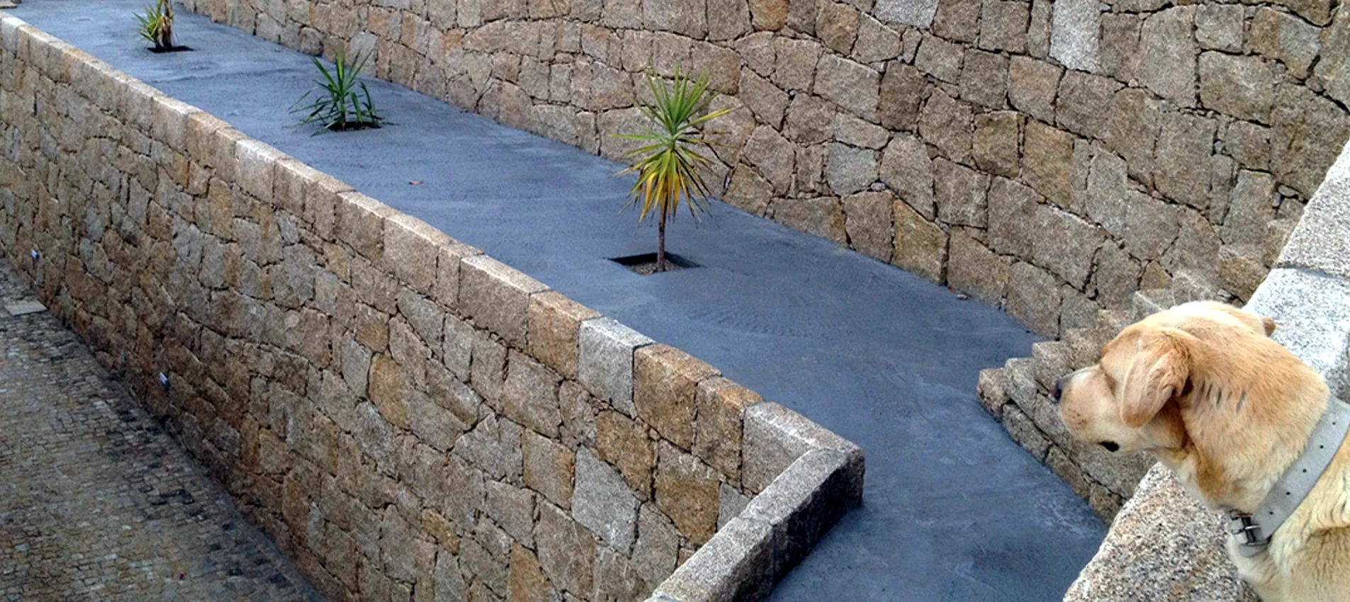 Muro em pedra executado pela empresa
