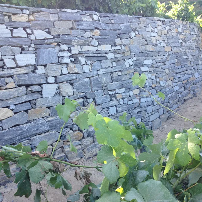 Obra realizada em Santa Marta de Penaguião, Santa Marta de Penaguião